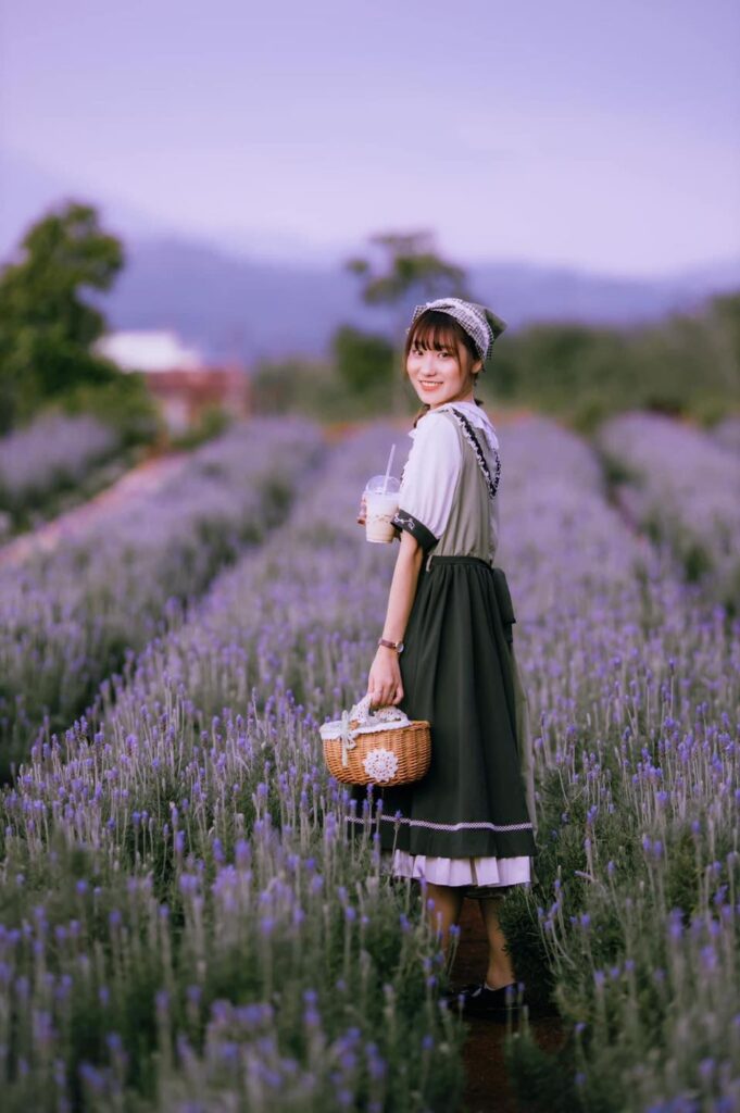 khu du lịch lavender hồ tuyền lâm, khu lavender đà lạt