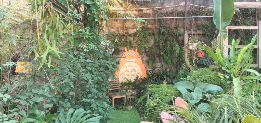 Totoro đà lạt, đà lạt đi đâu, view tại tiệm cà phê khu vườn mơ
