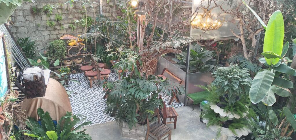 Phía dưới của tiệm cà phê khu vườn mơ, tiệm cà phê khu vườn mơ như thế nào, tiệm cà phê khu vườn mơ view